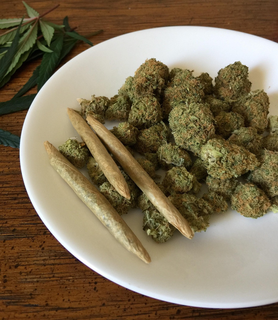 诺贝尔 第6页